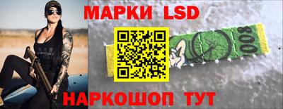 apvp Гатчина