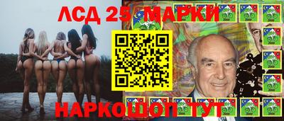 apvp Гатчина