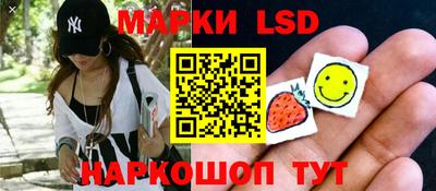 apvp Гатчина