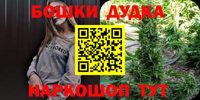 apvp Гатчина