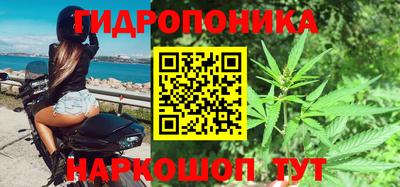 apvp Гатчина
